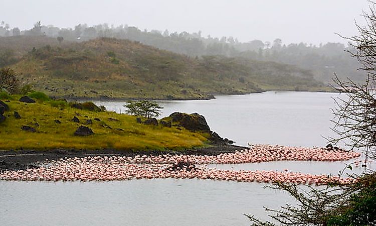 Tanzania's National Parks