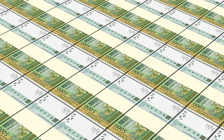 What is the Currency of Niger?