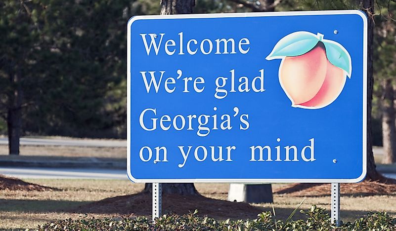 Which States Border The US State Of Georgia?