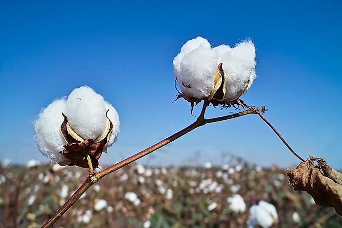 Top Cotton Producing Countries In The World - WorldAtlas.com