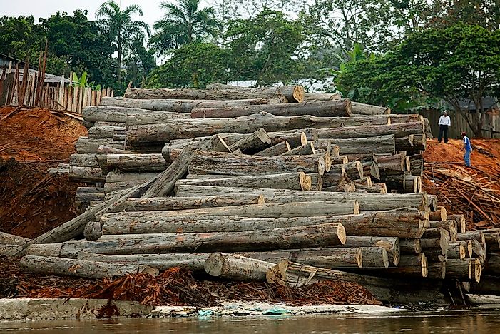 #2 Effects on Habitat and Biodiversity