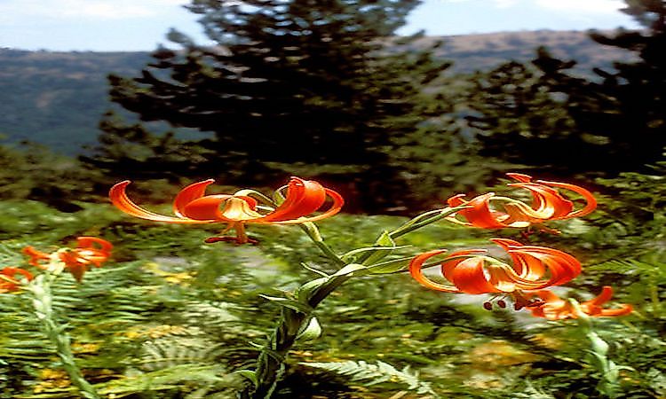 #6 Pindus National Park -
