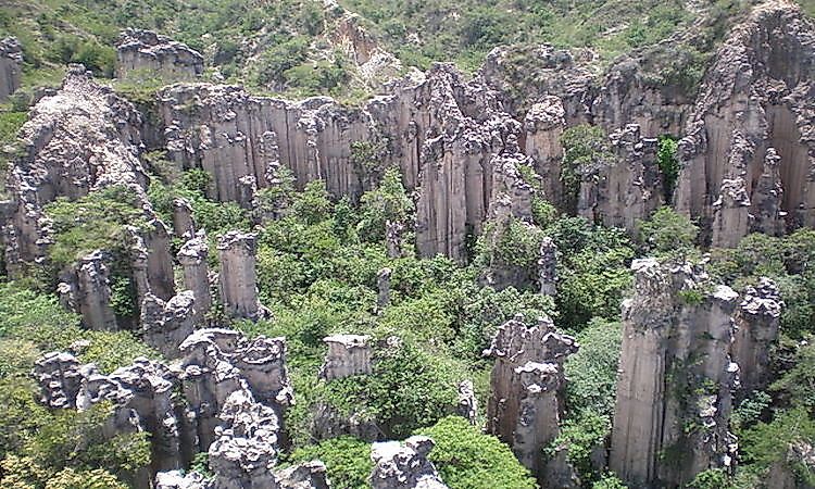 #5 Ciudad Perdida -