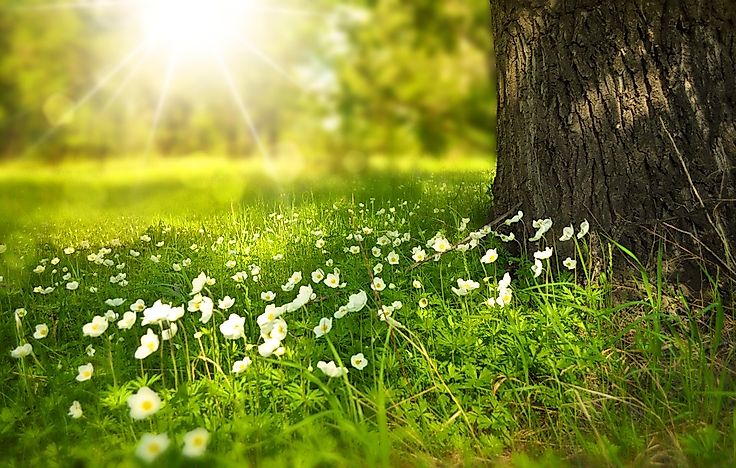 Where in the World Has the Best Weather?