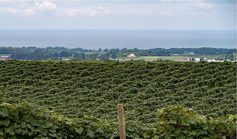 Where Is The Fruit Belt? Fruit Belt States