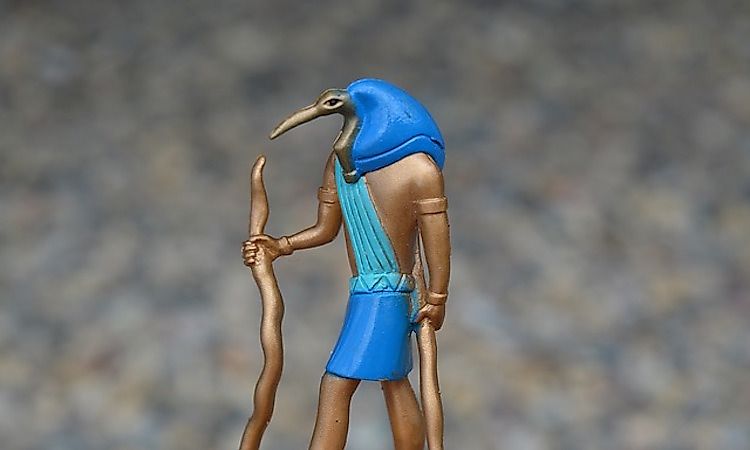 #11 Ibis -