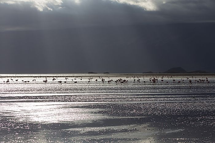 What is a Soda Lake?