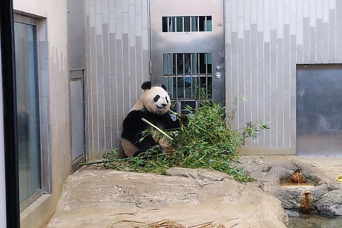 #4 Toronto Zoo