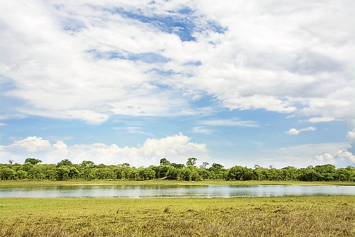 #1 Kasungu National Park