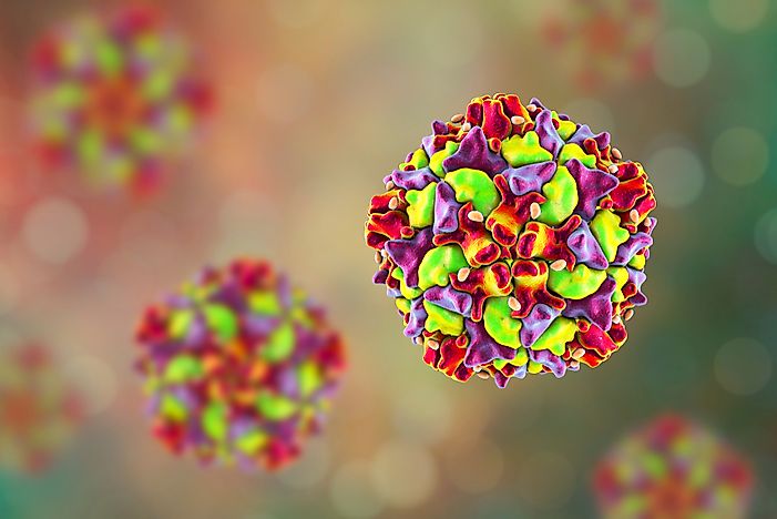 Which Infectious Diseases Have Been Eliminated From The United States?