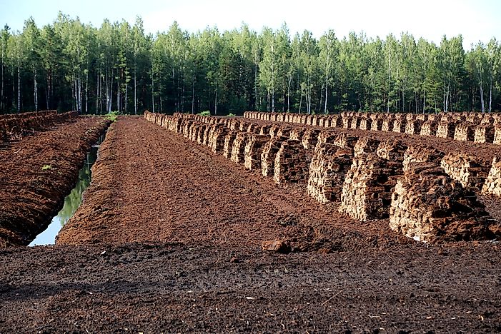 The World's Largest Exporters of Peat