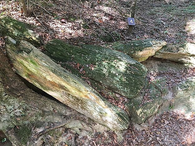 The 5 National Natural Landmarks in Mississippi