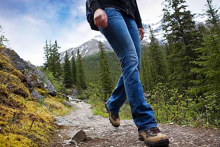 5 Best Hikes in Banff National Park