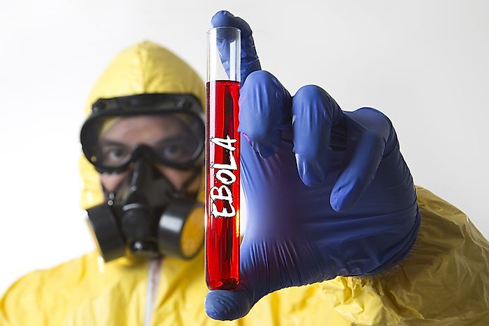 Ebola Facts: Diseases of the World