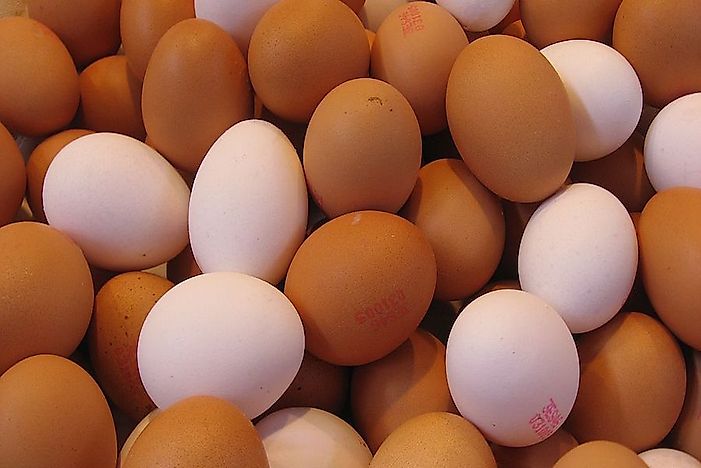 Canadian Provinces By The Number Of Eggs Produced