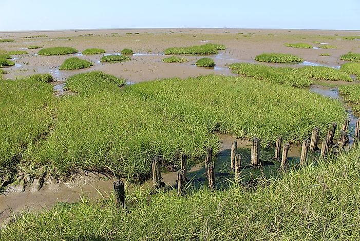The landscape of Hamburg Wadden Sea National Park. The landscape of Hamburg Wadden Sea National Park.