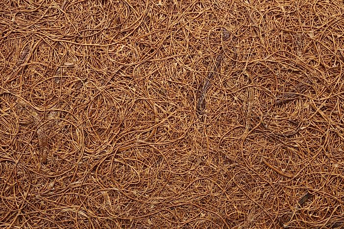 What Are The Different Applications Of Coir?
