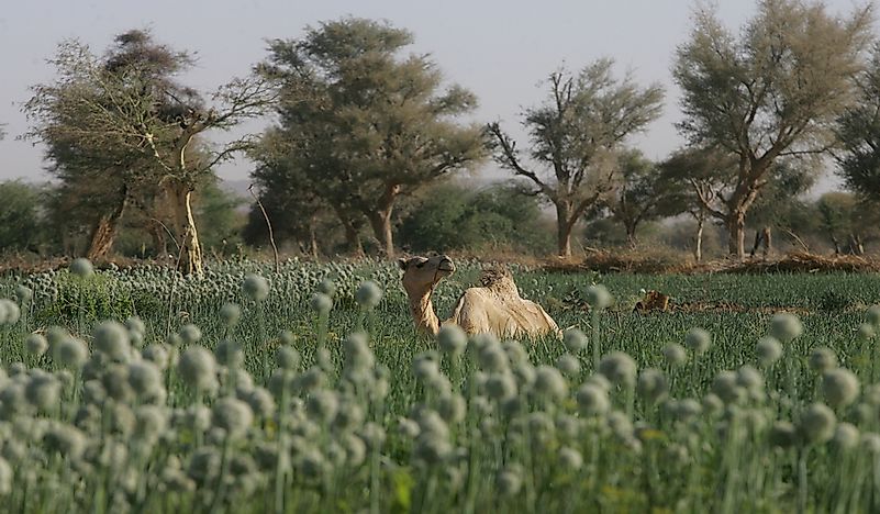 What Are The Major Natural Resources Of Niger?