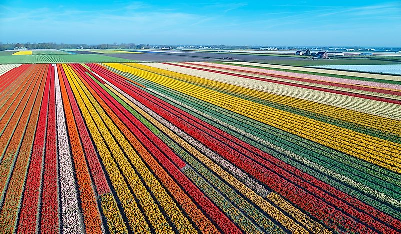What Are The Major Natural Resources Of The Netherlands?