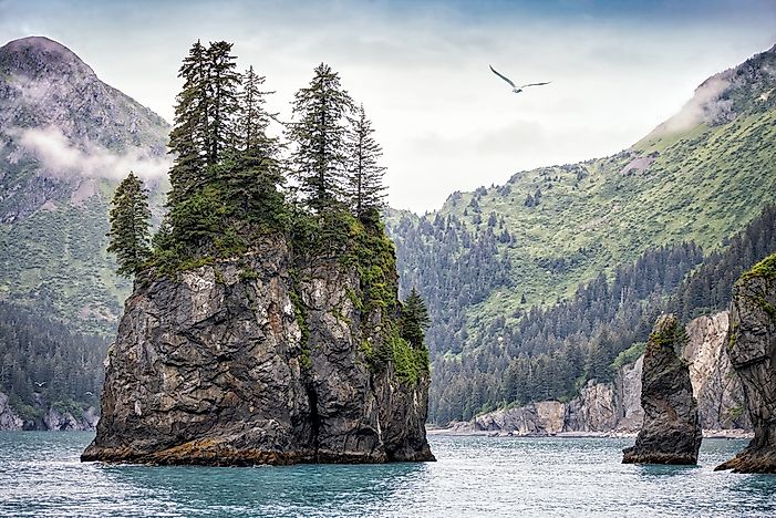 #5 Kenai Fjords National Park