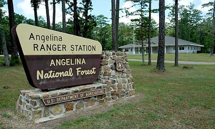 #9 Boykin Springs