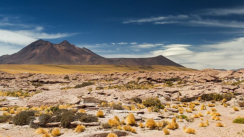 What And Where Are Coastal Deserts?
