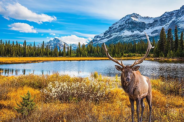Welche online-dating-site ist die beste in kanada?