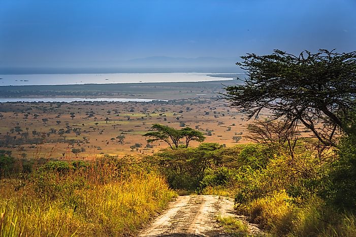The Western Or Albertine Rift Valley Lakes