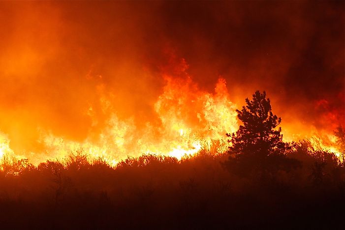 What Is A Firestorm?