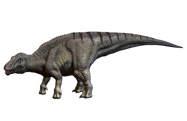 Shantungosaurus weighed approximately 23 tonnes.