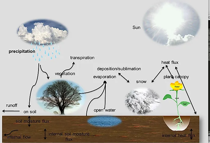 What Is Evapotranspiration?