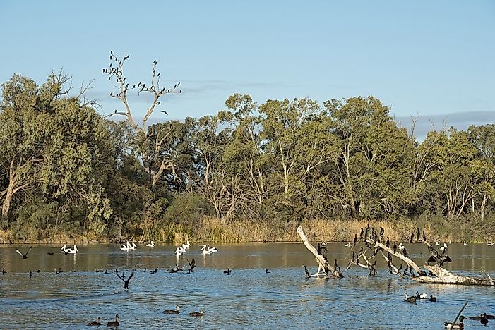The Darling River