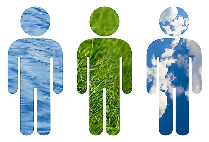 What Effects Do Humans Have On the Environment?
