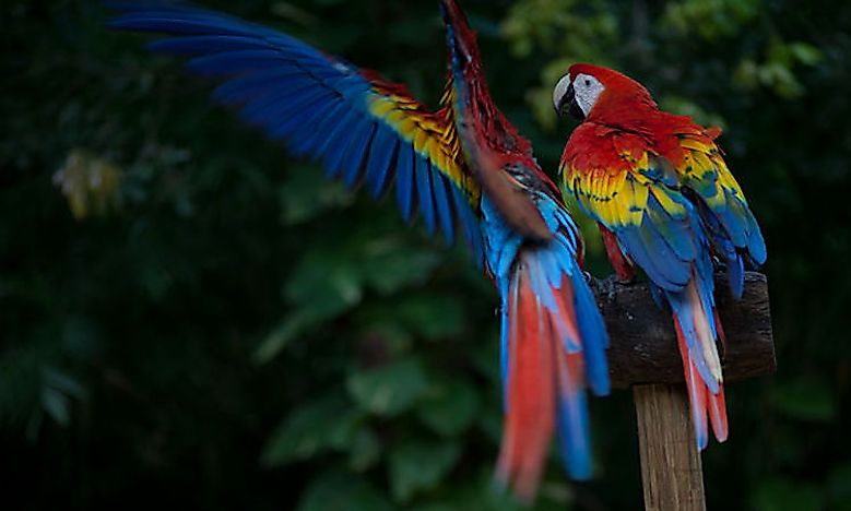 #3 Climate, Habitat, And Biodiversity -