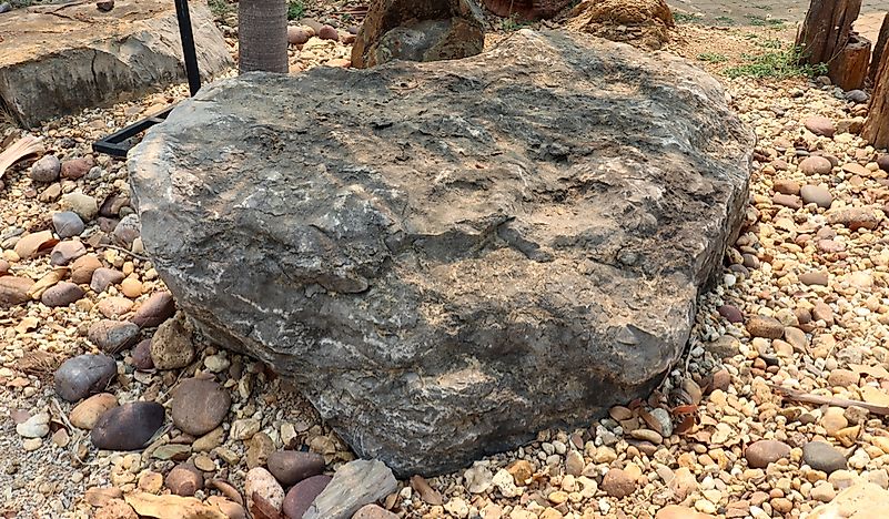 What Is An Oncolite?