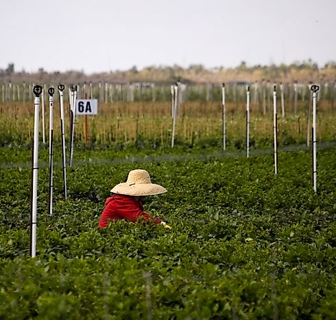 12 Countries With The Highest Net Immigration