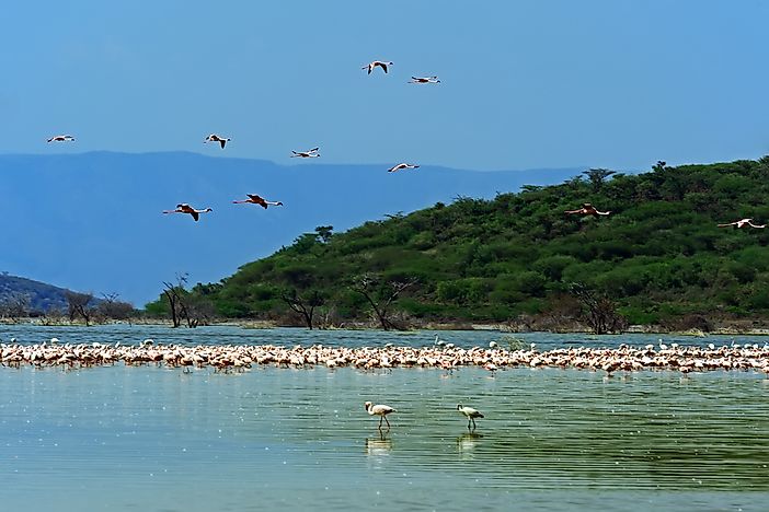 What Are the Rift Valley Lakes?