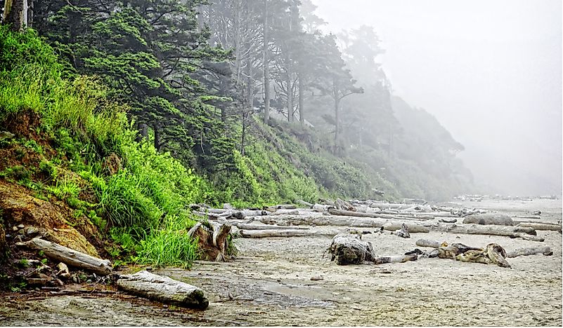 Which States Are In The Pacific Northwest?