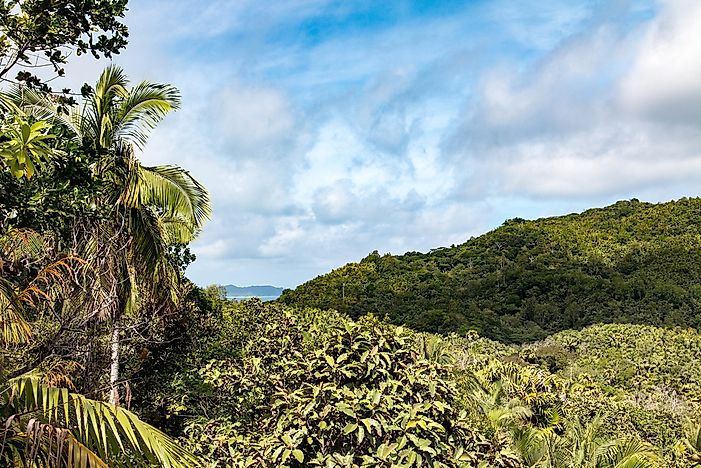 #4 Praslin National Park