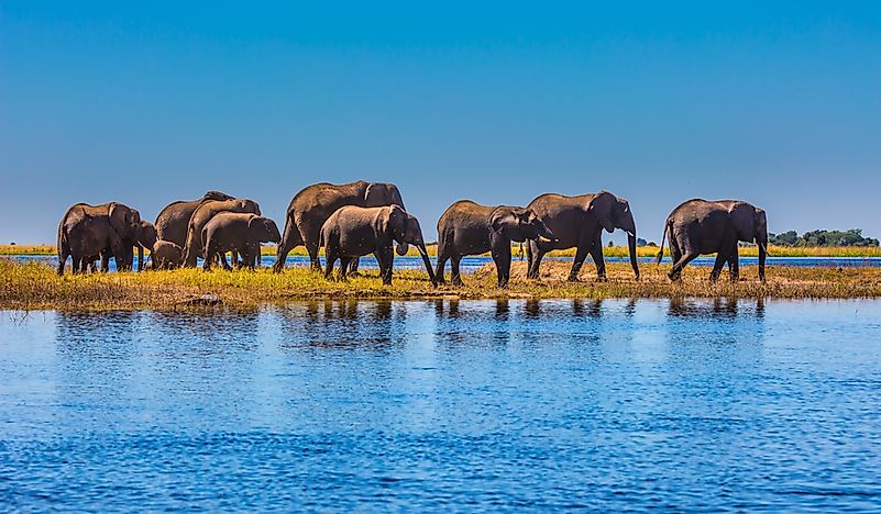10 Interesting And Unique Facts About Botswana