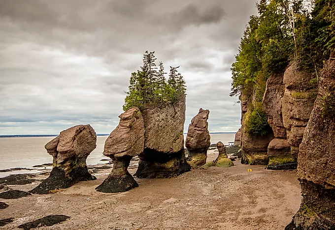What and Where Are The Hopewell Rocks?