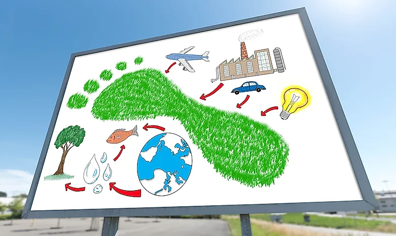 What Is an Ecological Footprint?