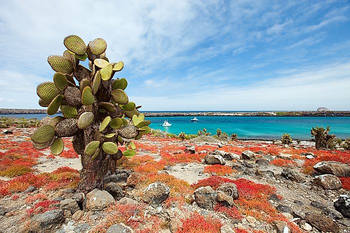 #2 Tumbes-Chocó-Magdalena
