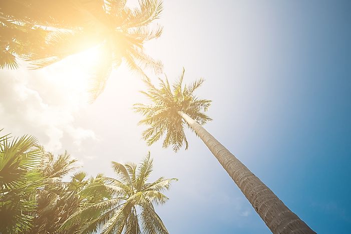 How Long Is a Day at the Equator?