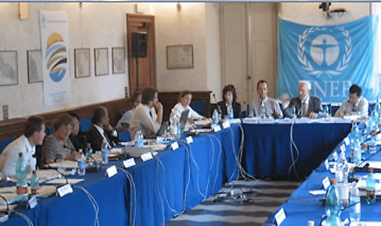 Major International Organizations Fighting Environmental Destruction