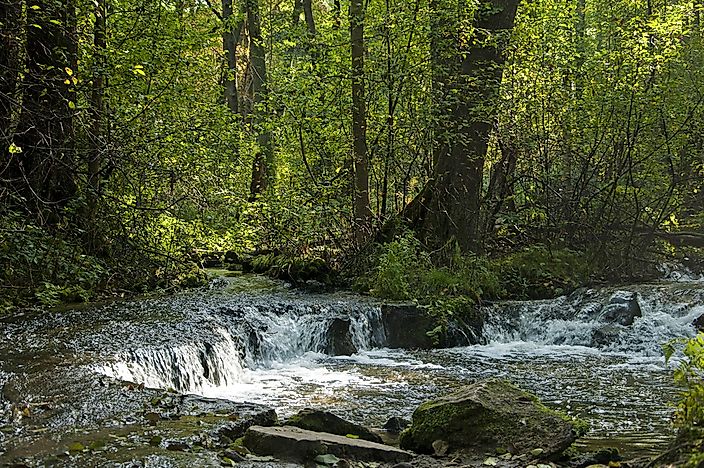 #8 Roztocze National Park