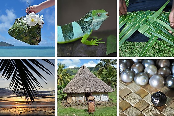 10 Interesting Facts About Fiji