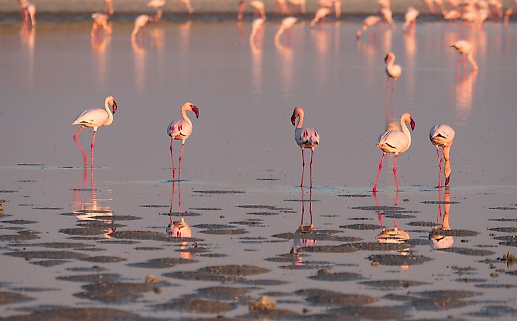 #3 Makgadikgadi Pan National Park