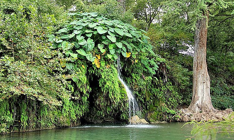 #3 Krause Springs