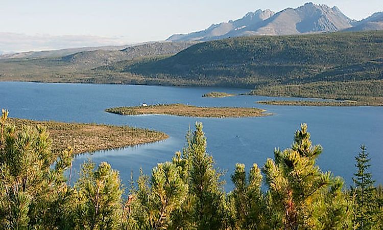 What Animals Live In The Taiga?